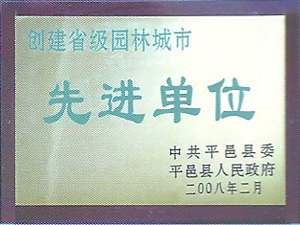 榮譽證書